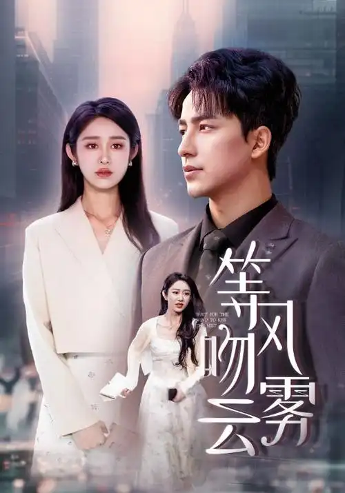 高分英美剧《继承之战》最终季海报